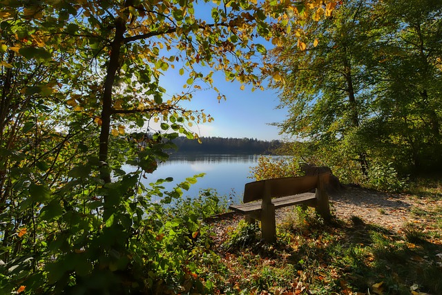 的连败引发 的连败引发