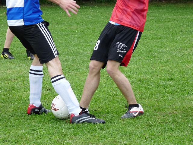 据了明显优 据了明显优