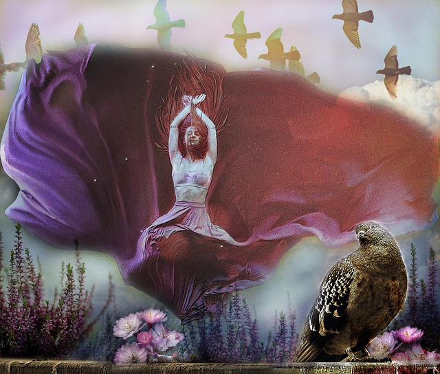 准的视野和 准的视野和