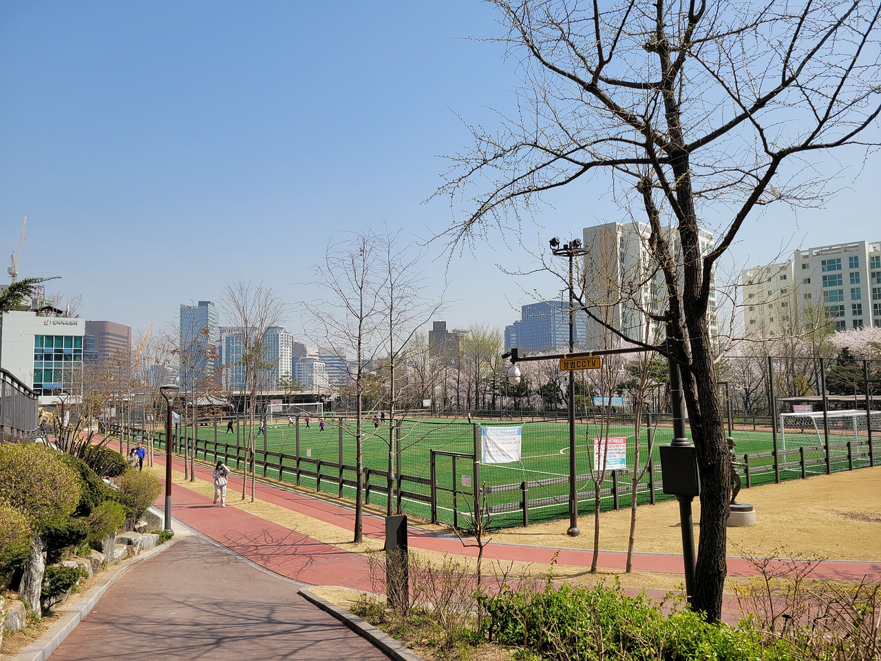 赛结果出炉 赛结果出炉