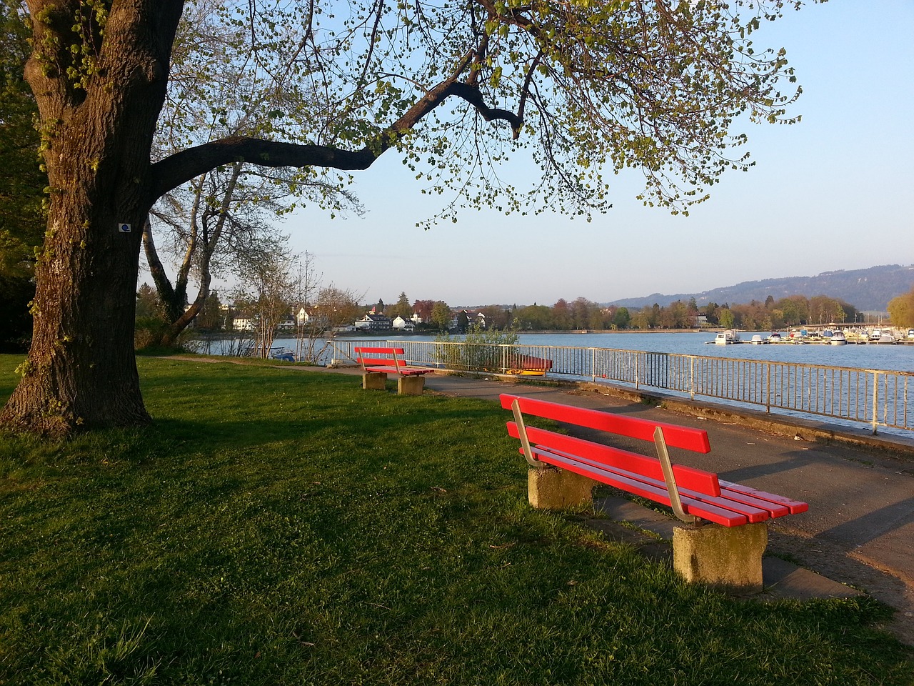 訓練計劃 訓練計劃