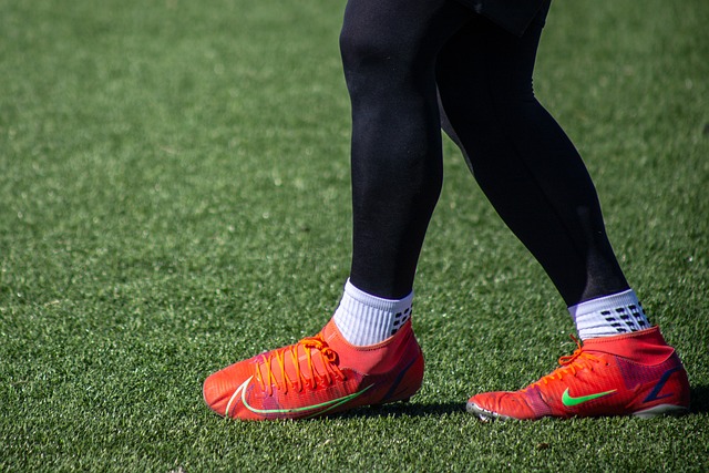 新的期待 新的期待