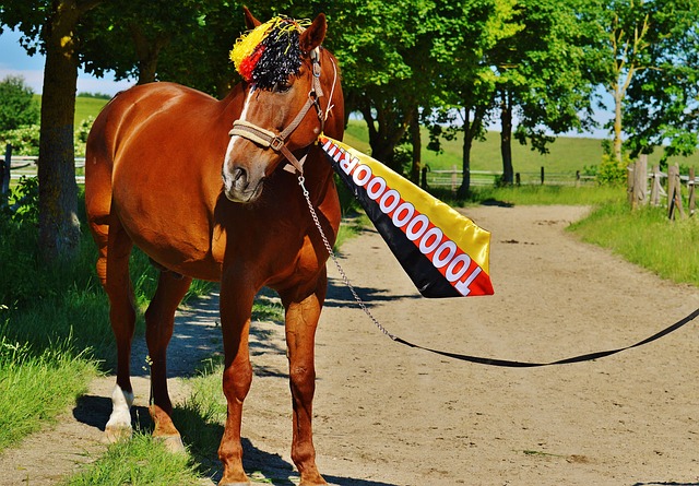 的过程中扮 的过程中扮